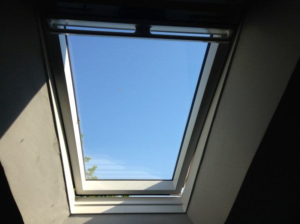 As you can see, the bee is on the left side, middle of the way down, and the way to freedom is the small crack below.