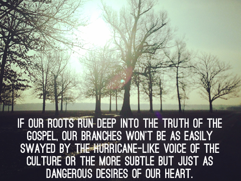 Rootsofthegospel