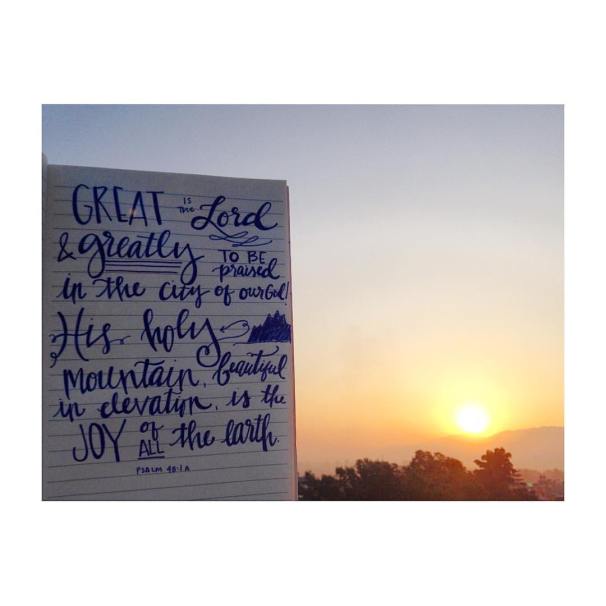 12080179_10204835714044457_6146833643118016642_o