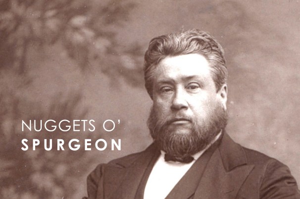nuggetsospurgeon