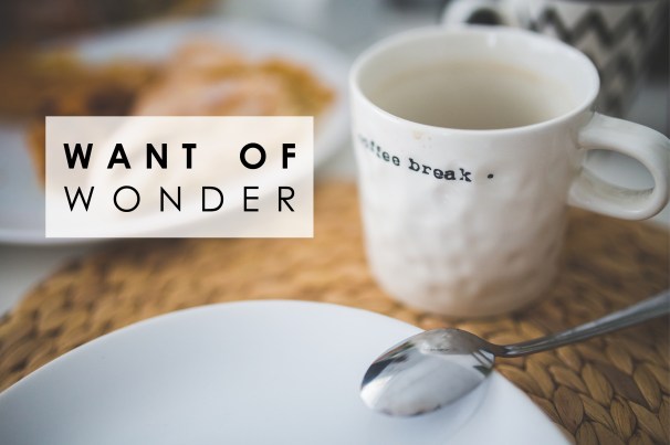 coffeebreak want of wonder.jpg