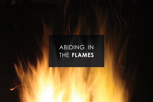 abiding + questioning.jpg