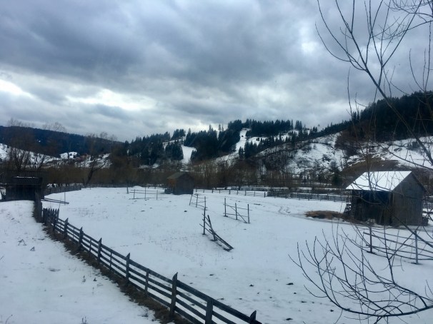 CXZ%1y%9RGCpGElsr8ezCw_thumb_2bd8