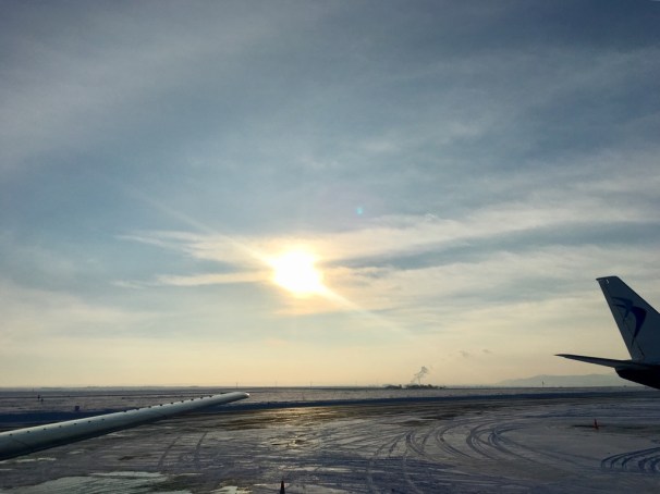 pcWZ39Y8Qqeeov%RoW%DNA_thumb_2d29