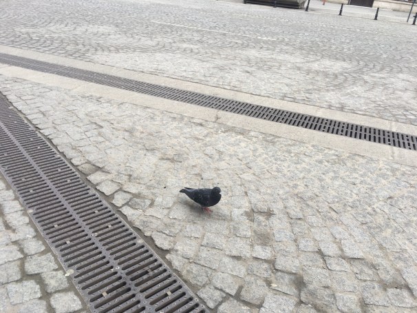 UNADJUSTEDNONRAW_thumb_2ce8