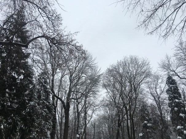 UNADJUSTEDNONRAW_thumb_2d11