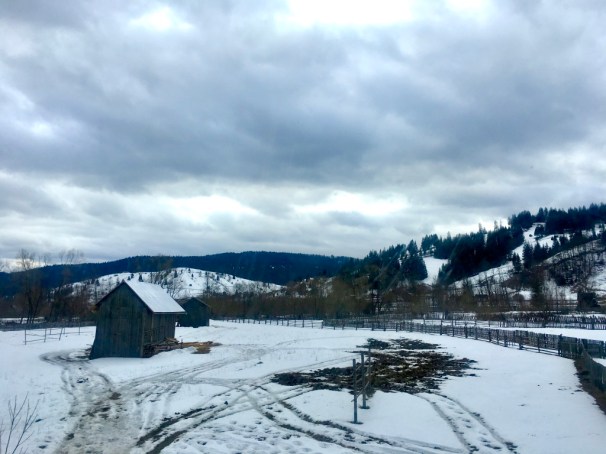 Vz7cml1iRLSKWvpbEc6ejA_thumb_2bd9