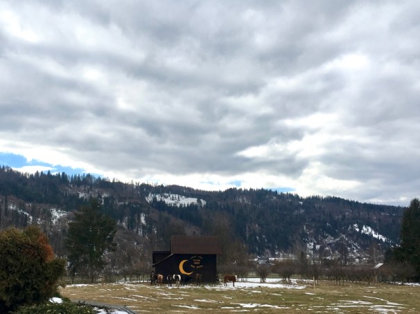 XE4F8%qmQu+%4zLcnyLzzA_thumb_2c1b