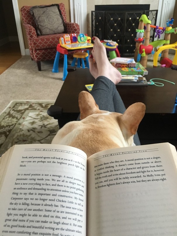 UNADJUSTEDNONRAW_thumb_2e1b