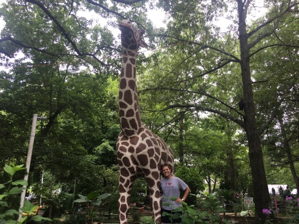 UNADJUSTEDNONRAW_thumb_3338