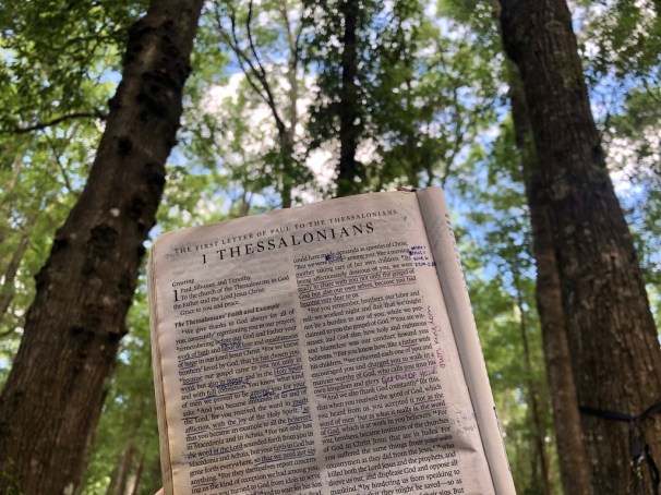 KhdDXE3OS1e%KOPkJcSELg_thumb_494c