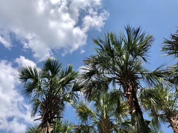 sndcxMXCQqCLs2Jry3vImg_thumb_47c0